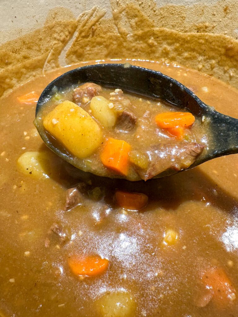 finished beef stew